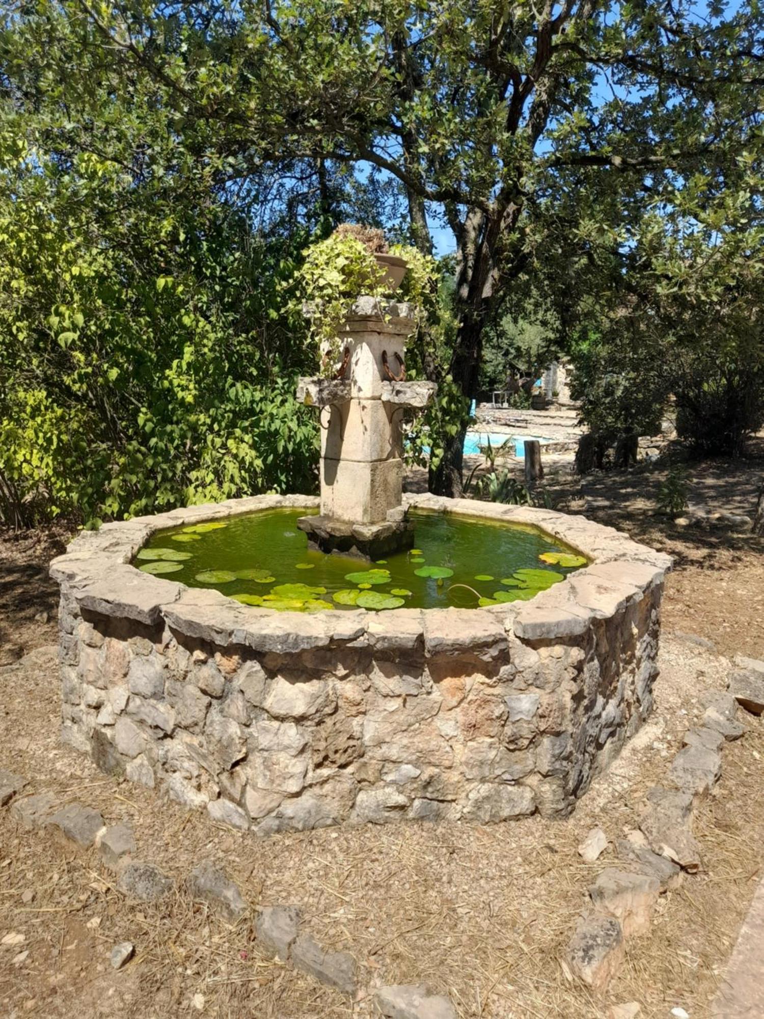 Vila L Etrier Lorgues Exteriér fotografie